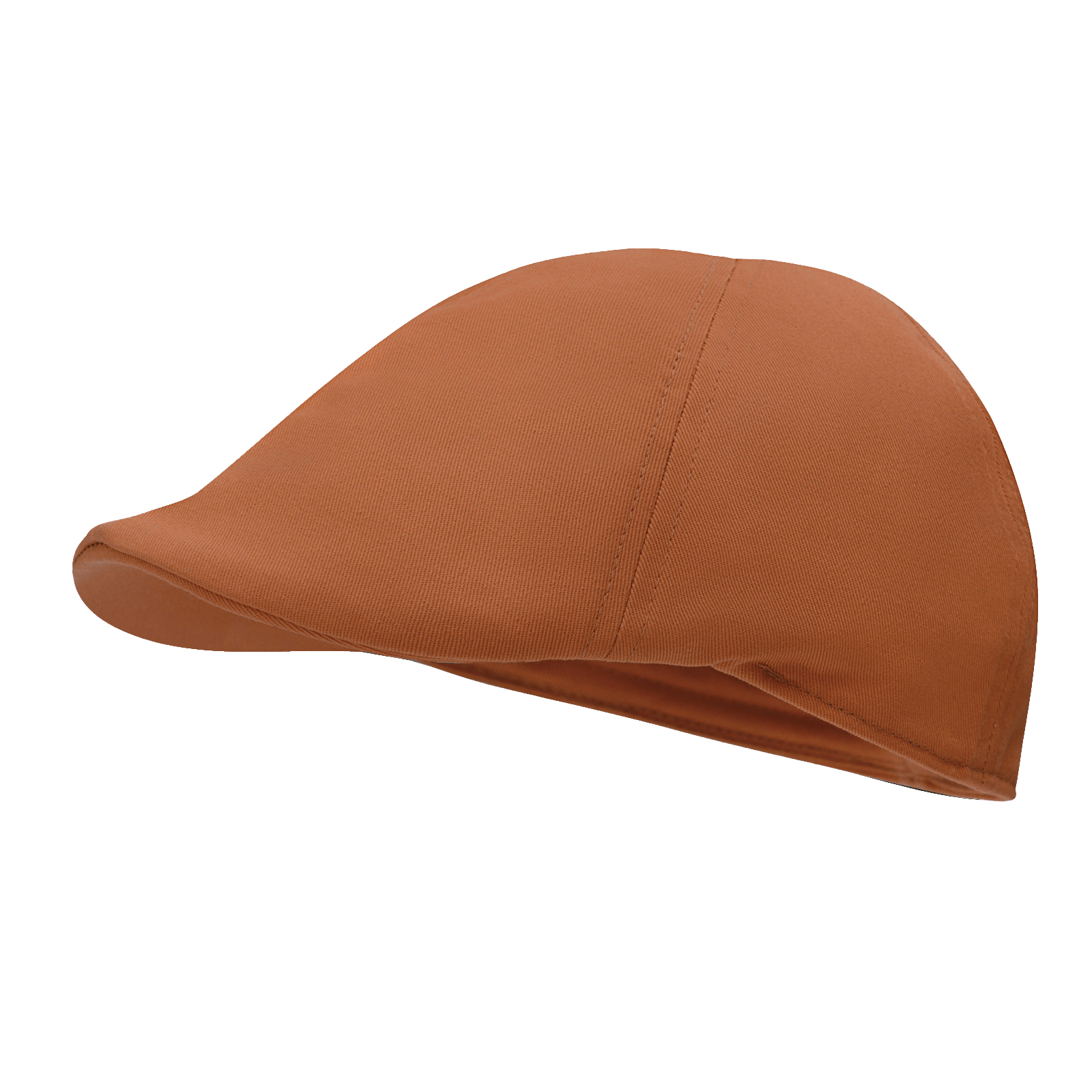 STARANCE Men's Classic Cotton  - đánh giá và giá Newsboy Cap Ivy